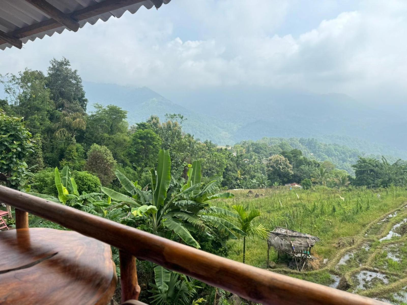Chalet Kingdom Of Rustic