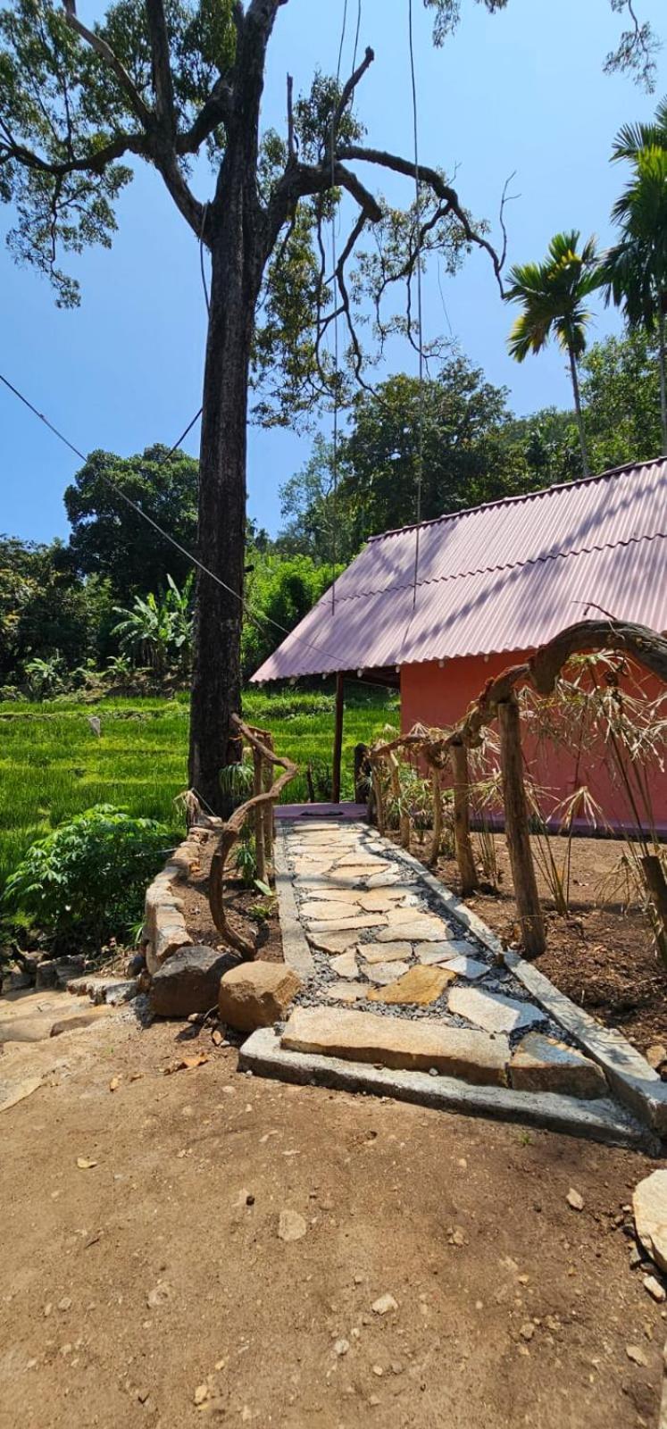 Chalet Kingdom Of Rustic Ella